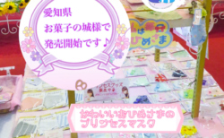 大人気のプリンセスマスクが　ついに8月15日より「愛知県犬山市　お菓子の城」で発売を開始しました！